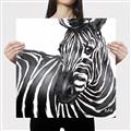 Picture of Zebra Watching _GroupedProduct_Square_Canvas_