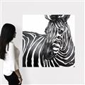 Picture of Zebra Watching _GroupedProduct_Square_Canvas_