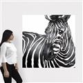 Picture of Zebra Watching _GroupedProduct_Square_Canvas_