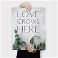 Picture of Love grows here _GroupedProduct_Rectangle_Portrait_Canvas_