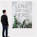Picture of Love grows here _GroupedProduct_Rectangle_Portrait_Canvas_