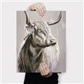 Picture of Harry the Highland _GroupedProduct_Rectangle_Portrait_Canvas_