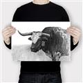 Picture of Big Cattle  _GroupedProduct_Rectangle_Landscape_Canvas_