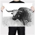 Picture of Big Cattle  _GroupedProduct_Rectangle_Landscape_Canvas_