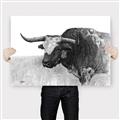 Picture of Big Cattle  _GroupedProduct_Rectangle_Landscape_Canvas_
