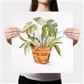 Picture of Palm Plant _GroupedProduct_Square_Canvas_