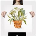 Picture of Palm Plant _GroupedProduct_Square_Canvas_