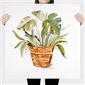 Picture of Palm Plant _GroupedProduct_Square_Canvas_