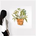 Picture of Palm Plant _GroupedProduct_Square_Canvas_