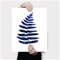 Picture of Indigo Fern  _GroupedProduct_Rectangle_Portrait_Canvas_