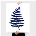 Picture of Indigo Fern  _GroupedProduct_Rectangle_Portrait_Canvas_