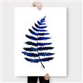 Picture of Indigo Fern  _GroupedProduct_Rectangle_Portrait_Canvas_