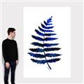 Picture of Indigo Fern  _GroupedProduct_Rectangle_Portrait_Canvas_