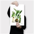 Picture of House Plants I  _GroupedProduct_Rectangle_Portrait_Canvas_