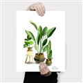 Picture of House Plants I  _GroupedProduct_Rectangle_Portrait_Canvas_