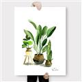 Picture of House Plants I  _GroupedProduct_Rectangle_Portrait_Canvas_