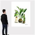 Picture of House Plants I  _GroupedProduct_Rectangle_Portrait_Canvas_