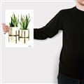 Picture of House Plants II  _GroupedProduct_Rectangle_Portrait_Canvas_