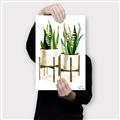 Picture of House Plants II  _GroupedProduct_Rectangle_Portrait_Canvas_