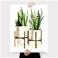 Picture of House Plants II  _GroupedProduct_Rectangle_Portrait_Canvas_