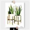 Picture of House Plants II  _GroupedProduct_Rectangle_Portrait_Canvas_