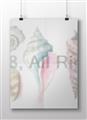 Picture of Seashells II  _GroupedProduct_Rectangle_Landscape_Unframed_Print_Only_