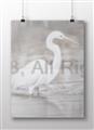 Picture of Wading Egret _GroupedProduct_Rectangle_Landscape_Unframed_Print_Only_