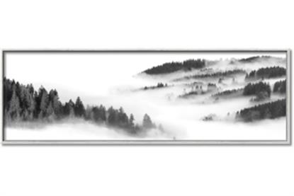 Picture of Foggy Forest Panel