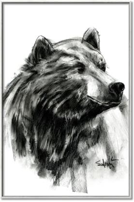 Picture of Sketched Bear