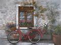 Picture of Red Bike _GroupedProduct_Rectangle_Landscape_Unframed_Print_Only_