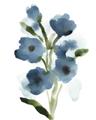 Picture of Blue Poppies II _GroupedProduct_Rectangle_Portrait_Unframed_Print_Only_