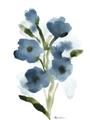 Picture of Blue Poppies II _GroupedProduct_Rectangle_Portrait_Unframed_Print_Only_