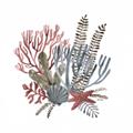 Picture of Ocean Coral l _GroupedProduct_Square_Unframed_Print_Only_