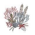 Picture of Ocean Coral l _GroupedProduct_Square_Unframed_Print_Only_