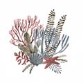 Picture of Ocean Coral l _GroupedProduct_Square_Unframed_Print_Only_