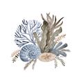 Picture of Ocean Coral ll _GroupedProduct_Square_Unframed_Print_Only_