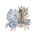 Picture of Ocean Coral ll _GroupedProduct_Square_Unframed_Print_Only_