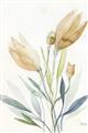 Picture of Soft Tulips  I _GroupedProduct_Rectangle_Portrait_Unframed_Print_Only_