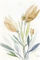 Picture of Soft Tulips  I _GroupedProduct_Rectangle_Portrait_Unframed_Print_Only_