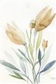 Picture of Soft Tulips  I _GroupedProduct_Rectangle_Portrait_Unframed_Print_Only_