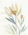 Picture of Soft Tulips II _GroupedProduct_Rectangle_Portrait_Unframed_Print_Only_
