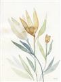 Picture of Soft Tulips II _GroupedProduct_Rectangle_Portrait_Unframed_Print_Only_