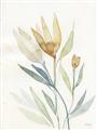 Picture of Soft Tulips II _GroupedProduct_Rectangle_Portrait_Unframed_Print_Only_