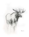 Picture of Moose Charcoal _GroupedProduct_Rectangle_Portrait_Unframed_Print_Only_