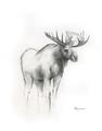 Picture of Moose Charcoal _GroupedProduct_Rectangle_Portrait_Unframed_Print_Only_