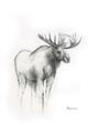 Picture of Moose Charcoal _GroupedProduct_Rectangle_Portrait_Unframed_Print_Only_