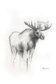 Picture of Moose Charcoal _GroupedProduct_Rectangle_Portrait_Unframed_Print_Only_