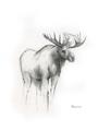 Picture of Moose Charcoal _GroupedProduct_Rectangle_Portrait_Unframed_Print_Only_