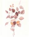 Picture of Rust Petals I  _GroupedProduct_Rectangle_Portrait_Unframed_Print_Only_