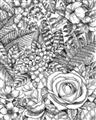 Picture of Detailed Floral Sketch _GroupedProduct_Rectangle_Portrait_Unframed_Print_Only_